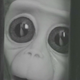 Illustration for article titled A Heartbreaking Short Film About a Monkey Who Dreams of Space